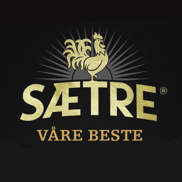 SÆTRE VÅRA BESTE LOGO